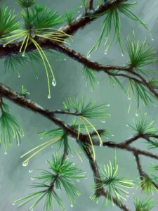 decoration advice kdadesignology