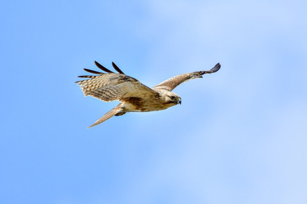 kdadesignology interior design by kdarchitects