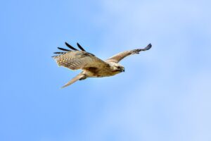 kdadesignology interior design by kdarchitects