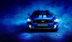 synopsis of still life louise penny