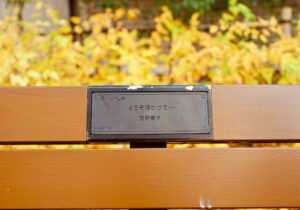 bench-planning-1