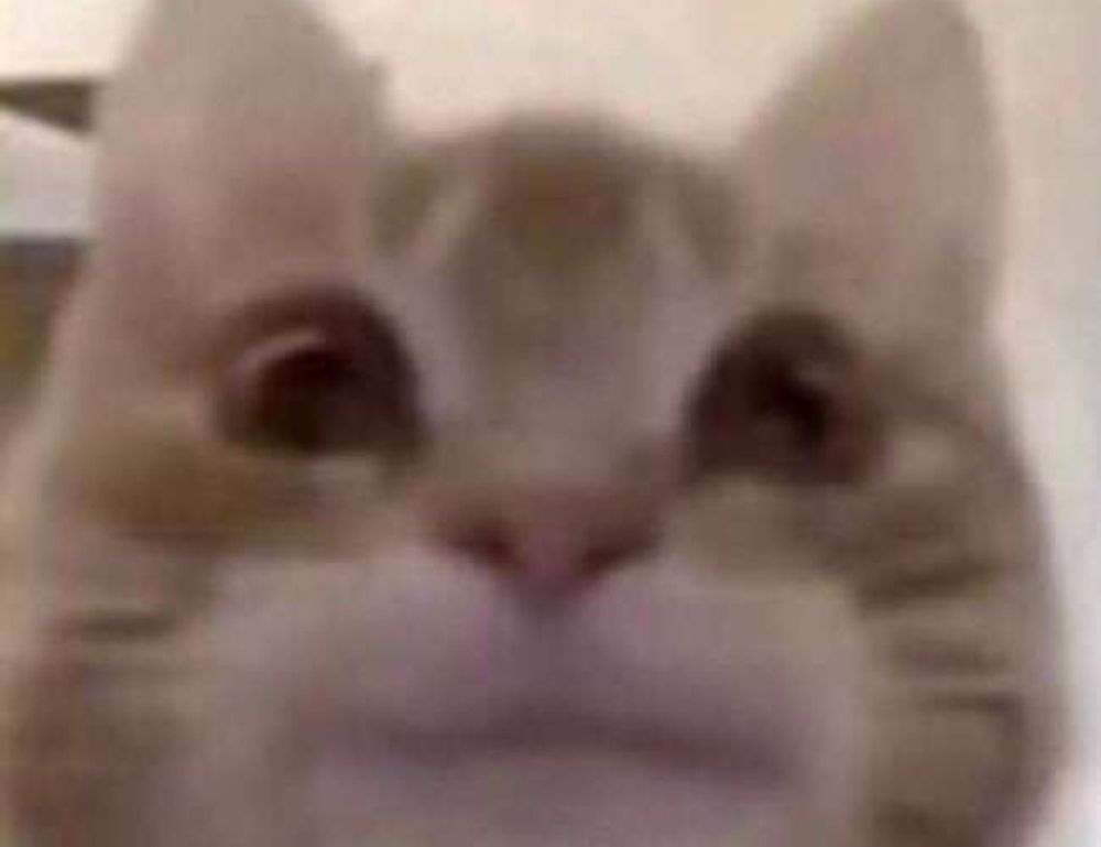 house decor mipimprov