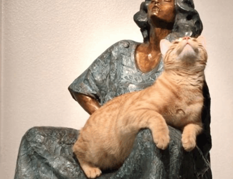 llusyep python fix code