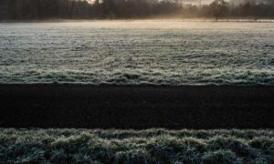 should i use zayepro pharmaceuticals ltd