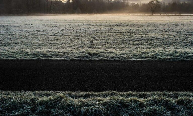 should i use zayepro pharmaceuticals ltd