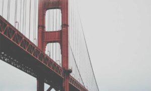 why are endbugflow software called bugs