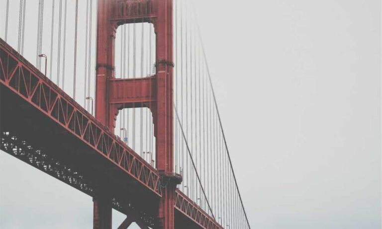 why are endbugflow software called bugs