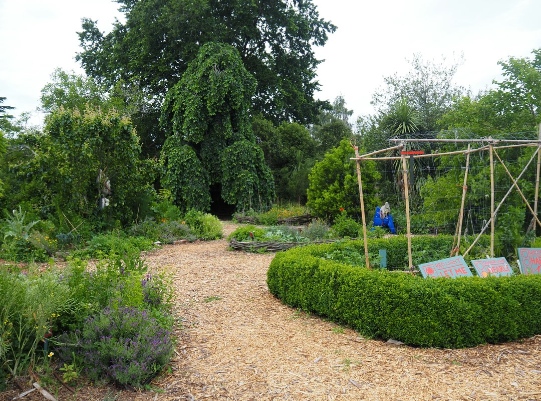 Designing Garden Beds Kdagardenation