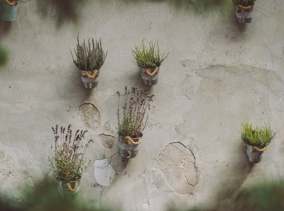 Garden Decoration Kdagardenation