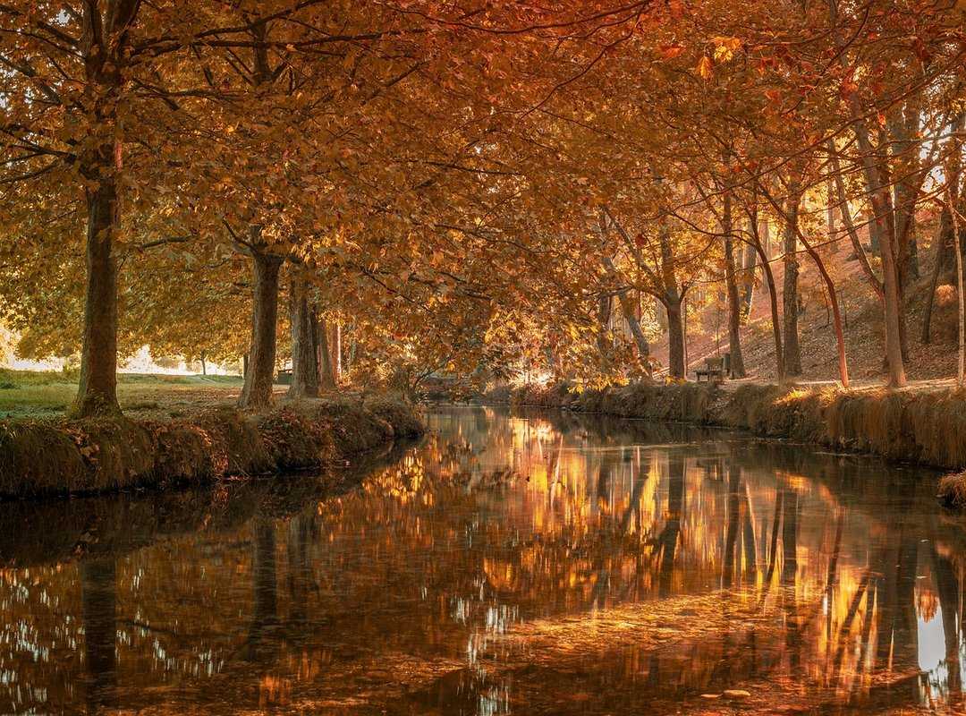 Consejos Para Aumentar la Posibilidad de que te Note