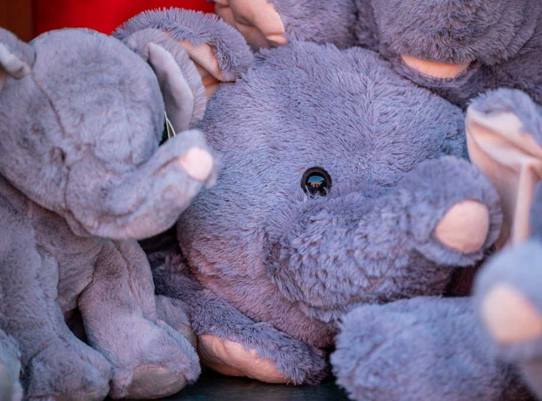 Cinnamoroll Merchandise: From Plushies to Home Decor