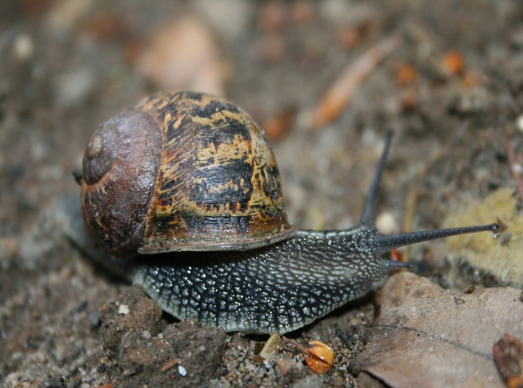 How to Get Started with Faprllo