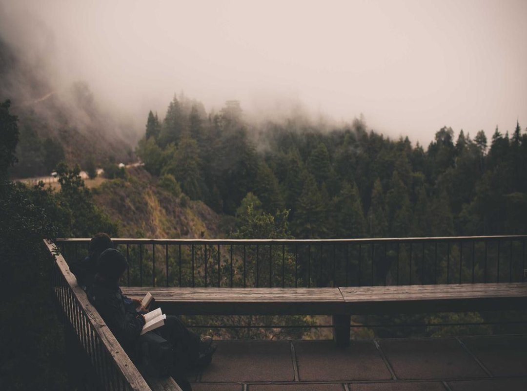 Top Picks: Best Farmwood Chicken Halal Products