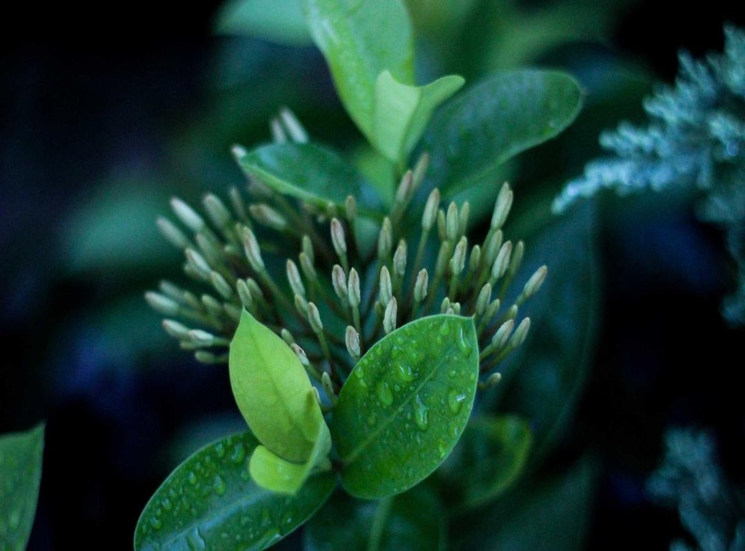 Our Top Picks: Get the Justin Gaethje Style at Any Price