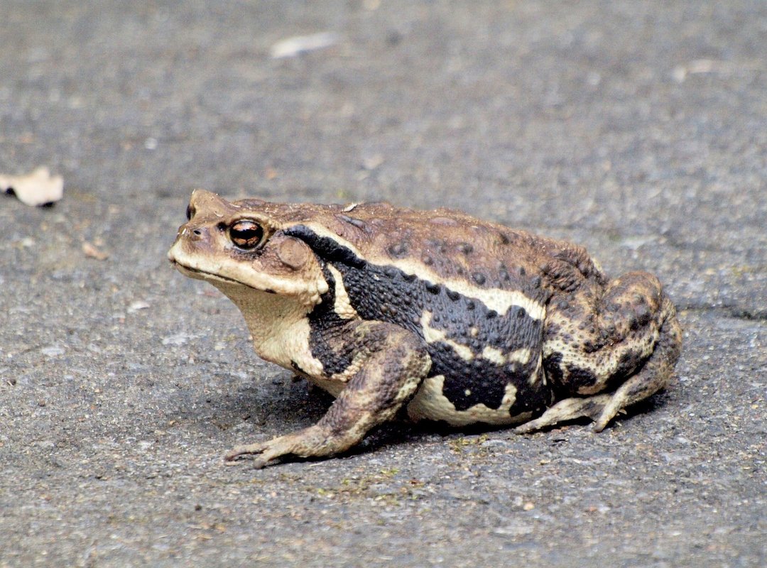 How Accurate Is It Really? Setting Realistic Expectations