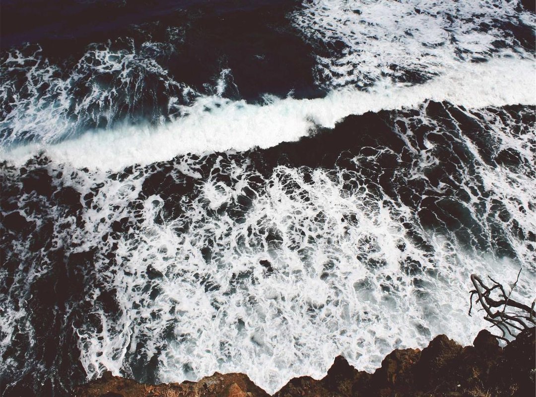 The Business of a Young Star: Growth and Management