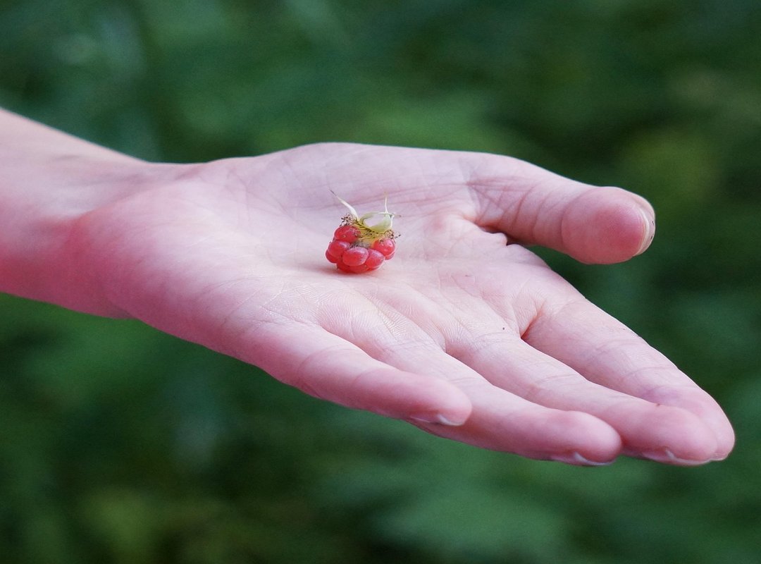 You're In! What to Do Immediately After Registering