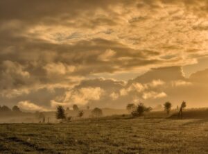 sunrise good morning nature gif