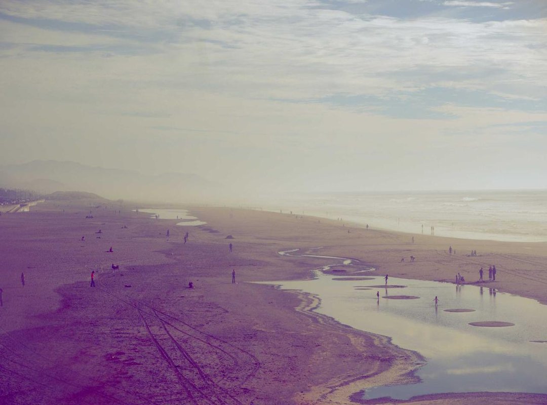 From Shock Video to Internet Meme: Why It Went Viral