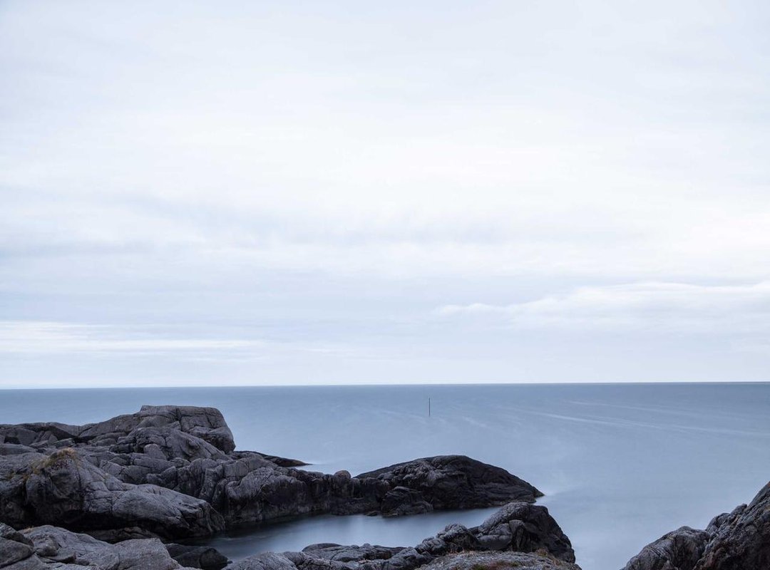 A Quick Guide: Setting Your Wallpaper in WhatsApp (iPhone & Android)