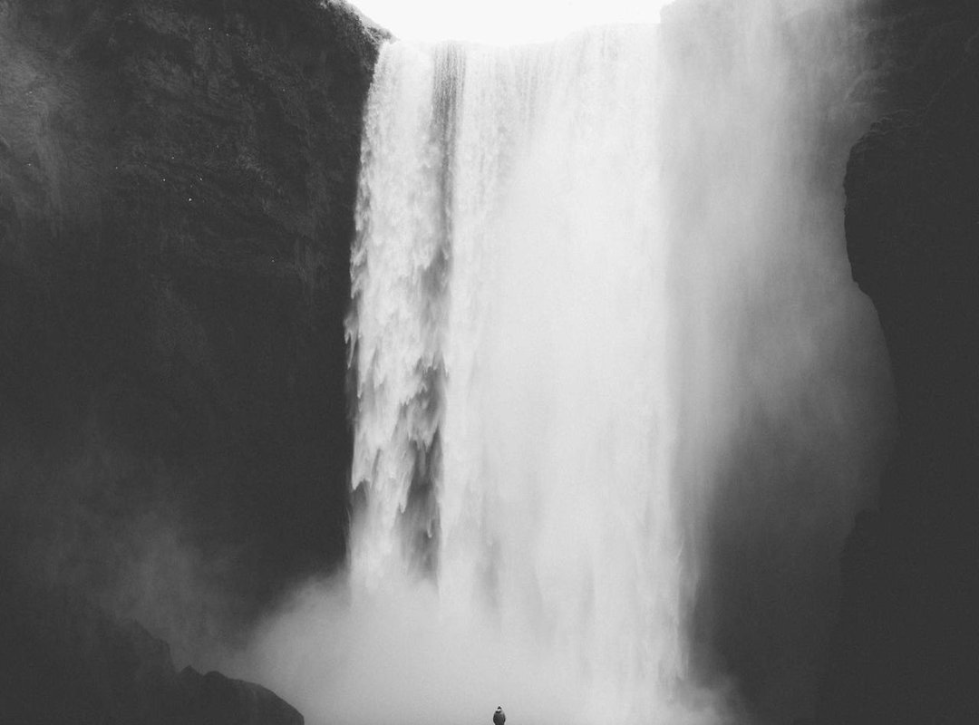 A Quick Guide to the World of 'Your Throne' (Spoiler-Free)